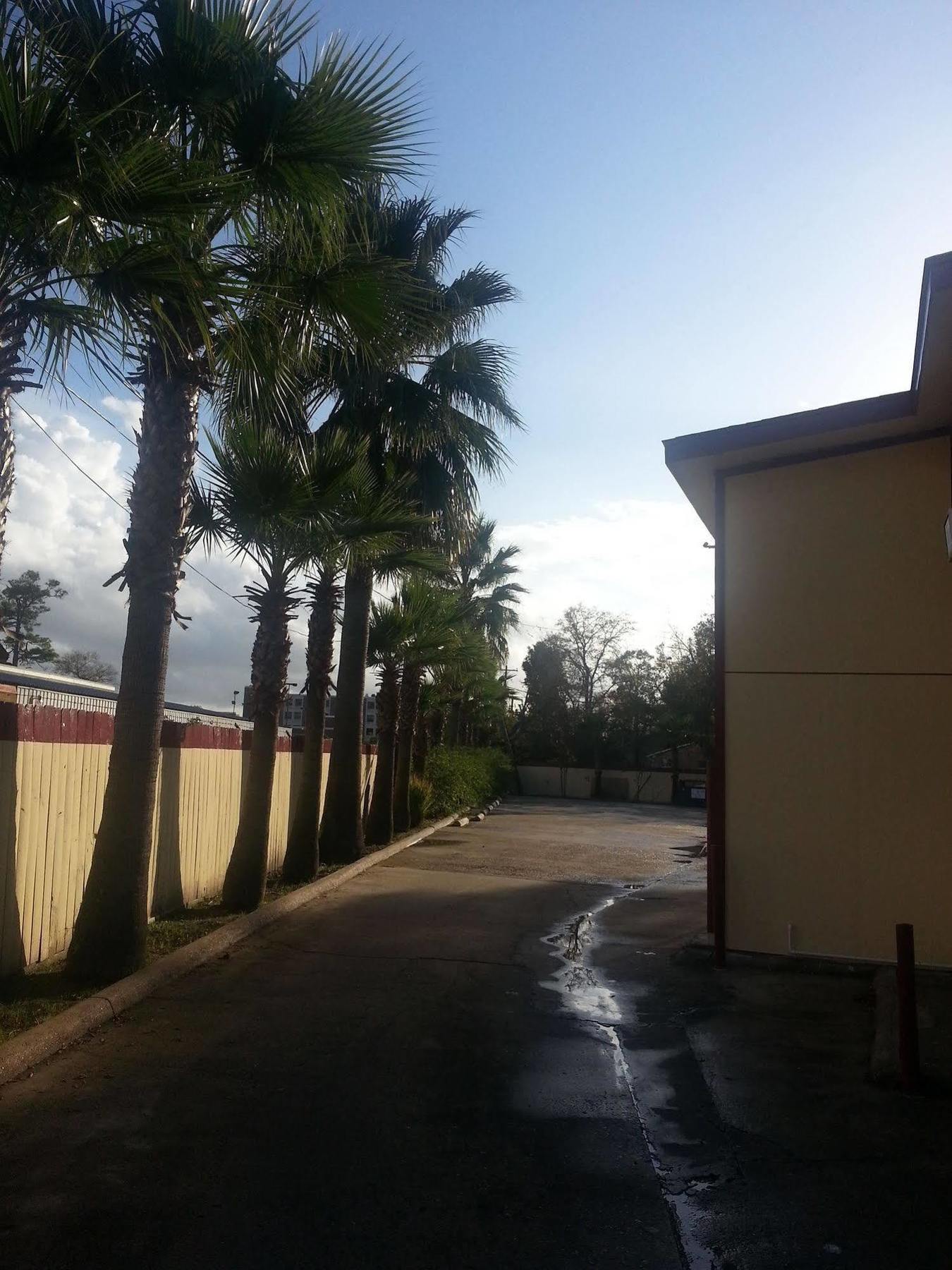 Southmore Motel Houston Eksteriør billede